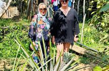Explore South Phu Quoc Highlights on a Private Tour