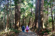 UNESCO KumanoKodo: Complete3Grand Shrines & Nachi Falls Day Trip
