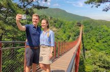 Exclusive small Group DMZ Tour with Hotel pickup&dropoff