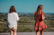 Bodega Garzon Wine Experience with Private Transfer