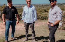Bodega Garzon Wine Experience with Private Transfer