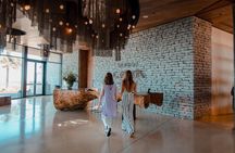 Bodega Garzon Wine Experience with Private Transfer