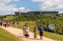 Bodega Garzon Wine Experience with Private Transfer