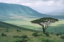 4 Day Mid Range Safari and visit to the Maasai
