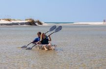 Clear Kayak Eco Tours on Lake Powell