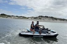 1 Hour Jet Ski Dolphin Experience