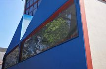CDMX Visit to the Frida Kahlo Diego Rivera Studio House