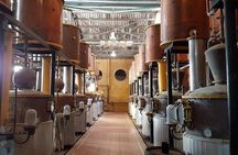 Elqui Valley Tour with Pisco Tasting and Lunch