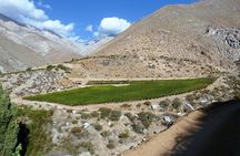 Wine and Mountain Experience