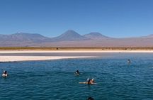 Half-Day Tour to Laguna Cejar, Ojos del Salar and Tebenquiche