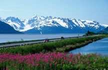 Scenic Anchorage to Girdwood Tour with Local Delicacies