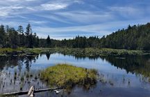 Private Custom Rainforest Hike and Photography Tour