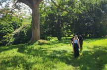 Entebbe City Walking Tour Markets History and Botanical Gardens