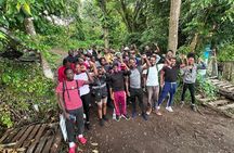 St. Kitts Hike to Mt. Liamuiga (Highest Peak On Island)