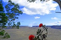 Ultimate Volcano National Park Tour