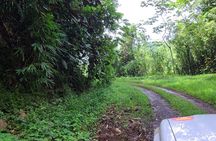 Discovery of the green side of the sacred island and its history