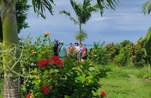 Discovery of the green side of the sacred island and its history