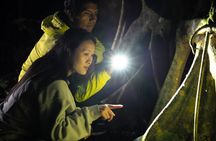 Guided Night Tour in Monteverde Cloud Forest
