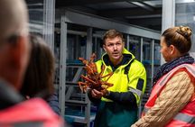 Sydney Fish Market Behind the Scenes Tour