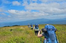 Beginner Hike and Workshop in Asheville