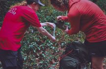 Beginner Hike and Workshop in Asheville