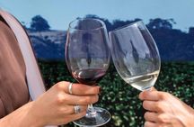 Premium Barossa Small Group Tour: Wine tasting, Lunch & Chocolate