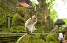 Best of Ubud Private All-Inclusive Day Tour