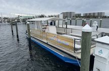 Dolphin and Destin Harbor Inlet Cruise Early Afternoon