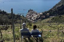 Heroic : Vineyard Trekking & Authentic Wine Tasting in Vernazza