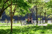 Alpaca World, Nami Island, Railbike and Light Festival from Seoul