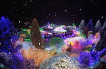 Alpaca World, Nami Island, Railbike and Light Festival from Seoul