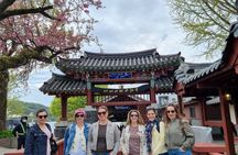 Nami Island, Railbike & Morning Calm Private Tour from Seoul