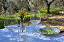 Tuscan Olive Oil Experience at a Family Mill