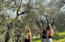 Tuscan Olive Oil Experience at a Family Mill