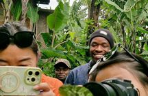 Materuni Village Waterfall Coffee Tour and Cultural Experience