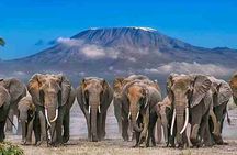 Overnight Adventure to Amboseli National Park on 4X4 Vehicle