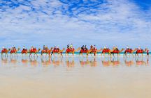 40 minute Magical Morning Camel Tour on Cable Beach, Broome