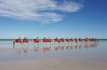 40 minute Magical Morning Camel Tour on Cable Beach, Broome