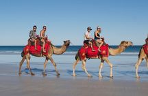 40 minute Magical Morning Camel Tour on Cable Beach, Broome
