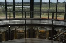 Wine Experience Bodega Oceánica Visit and Lunch at Bodega Garzón