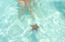 Tours Saona Paradise : 4 Beaches, Natural Pool and Turtles