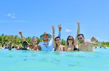 Tours Saona Paradise : 4 Beaches, Natural Pool and Turtles