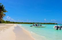 Tours Saona Paradise : 4 Beaches, Natural Pool and Turtles