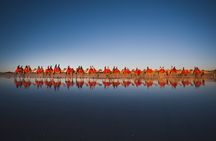 Pre Sunset Sampler Camel Tour on Cable Beach, Broome