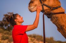 Pre Sunset Sampler Camel Tour on Cable Beach, Broome