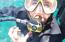 Shark Cage Diving with complimentary air in cage from Gansbaai