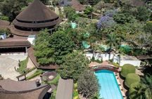A Night of Rhythm and Cuisine: Safari Park Cat Dance Experience