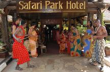 A Night of Rhythm and Cuisine: Safari Park Cat Dance Experience