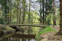 Private New Forest & Beaulieu Sightseeing from Southampton Cruise