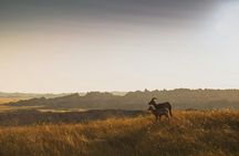 Private Badlands Sunset & Stars Tour w/ Former Park Ranger